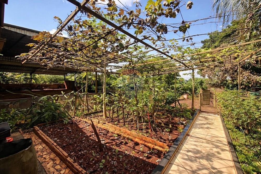 Chácara / Sítio / Fazenda - Venda - Sertãozinho , São Paulo - WhatsApp Image 2026-03-17 at 01.09.08 (4).jpeg - 780191016-54