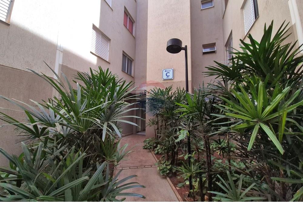 Apartamento - Venda - Ribeirão Preto , São Paulo - 20250904_105603.jpg - 780071037-64