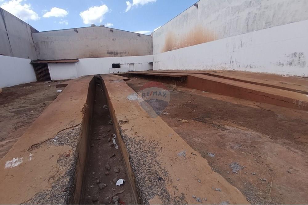 Outros - Alugar - Ribeirão Preto , São Paulo - IMG-20250812-WA0045.jpg - 780181010-328