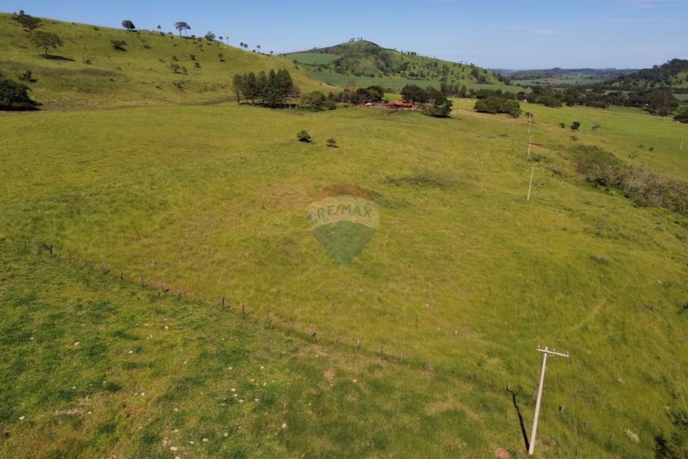 Fazenda - Venda - Cajuru , São Paulo - DJI_0021.JPG - 780171030-74