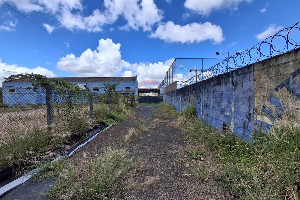 Galpão - Alugar - Orlândia , São Paulo - 20260124_104852.jpg - 780111046-10