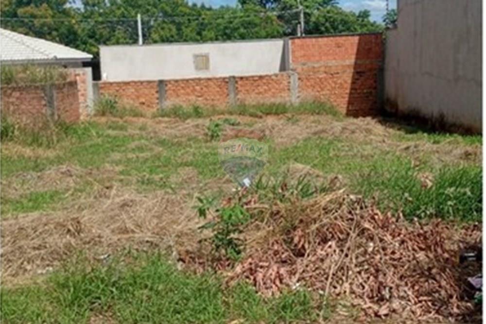 Terreno - Venda - Monte Alto , São Paulo - WhatsApp Image 2026-02-23 at 09.13.31.jpeg - 780271058-14