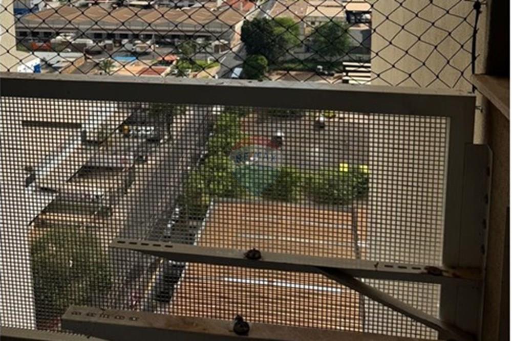 Apartamento - Alugar - Ribeirão Preto , São Paulo - 04.jpeg - 780241037-151