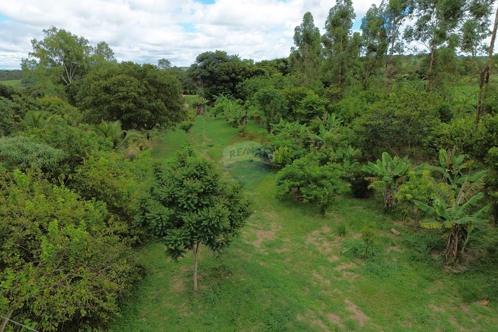 Chácara / Sítio / Fazenda - Venda - Santa Cruz da Esperança , São Paulo - DJI_0897.JPG - 780171030-73