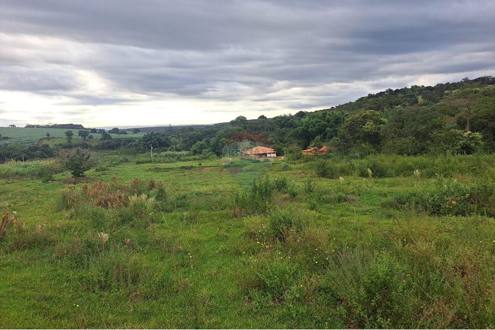 Fazenda - Venda - Cajuru , São Paulo - IMG-20250406-WA0098.jpg - 780171030-57