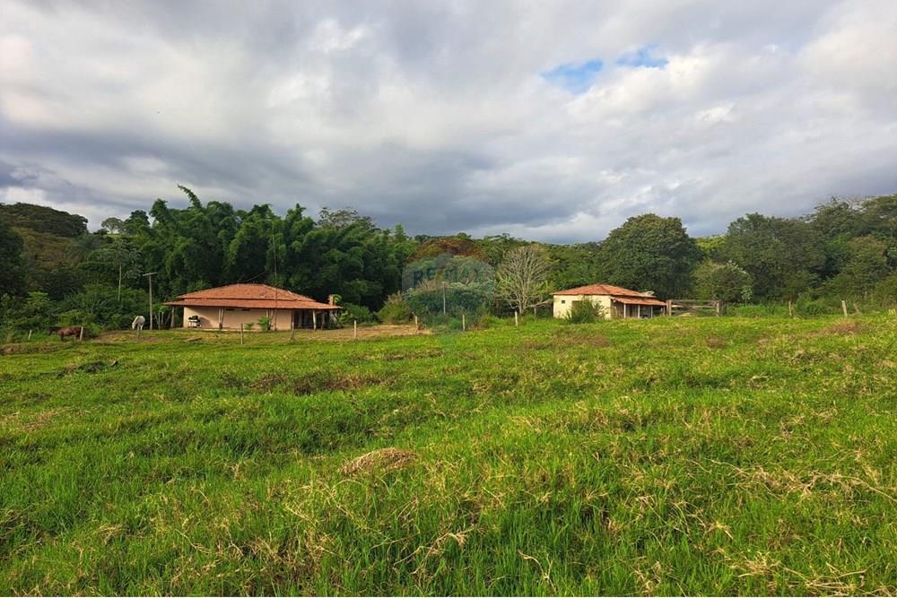 Fazenda - Venda - Cajuru , São Paulo - IMG-20250406-WA0130.jpg - 780171030-57