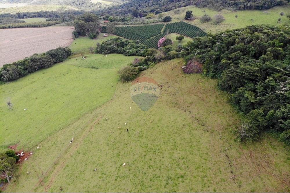 Chácara / Sítio / Fazenda - Venda - Cajuru , São Paulo - IMG_9836.JPG - 780241009-47