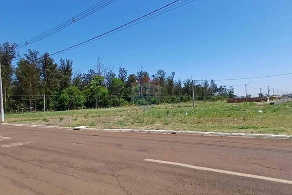 Terreno - Venda - Sertãozinho , São Paulo - IMG-20250926-WA0008.jpg - 780191016-33