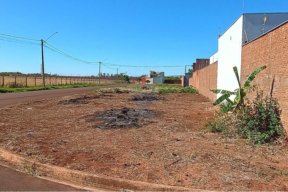 Terreno - Venda - São Joaquim da Barra , São Paulo - IMG-20251023-WA0069.jpg - 780301004-7