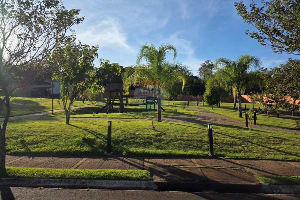 Terreno - Venda - Ribeirão Preto , São Paulo - 20250617_160725.jpg - 780251001-50