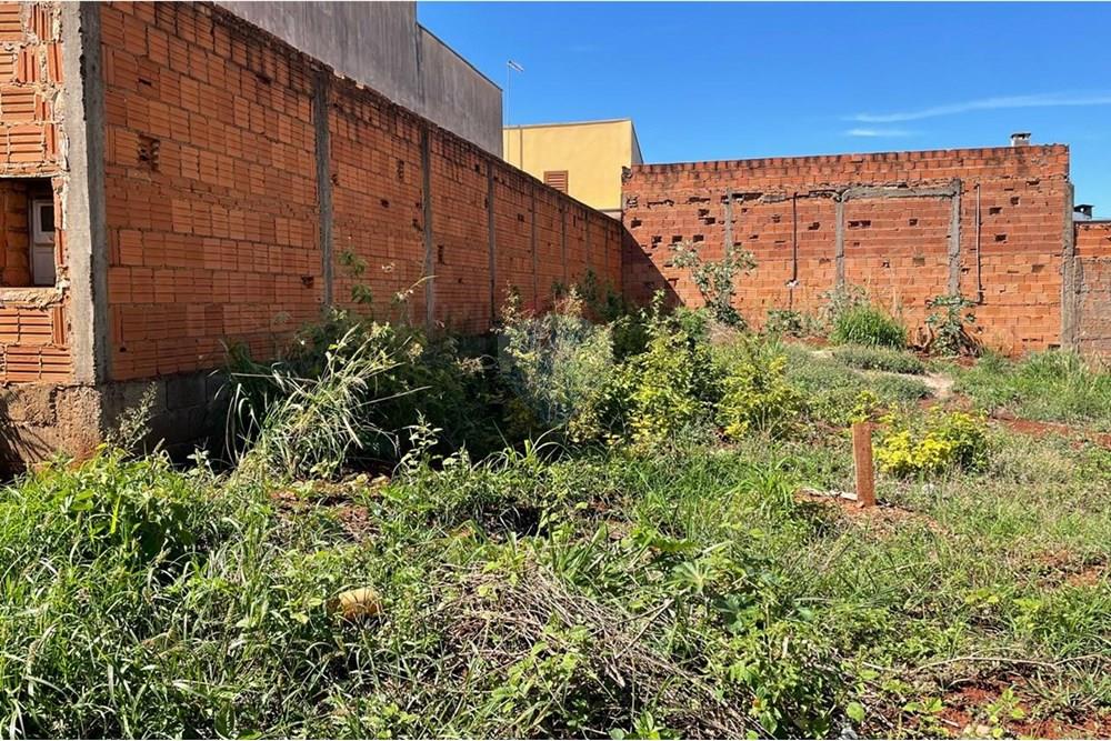 Terreno - Venda - São Joaquim da Barra , São Paulo - IMG-20251126-WA0070.jpg - 780301001-20