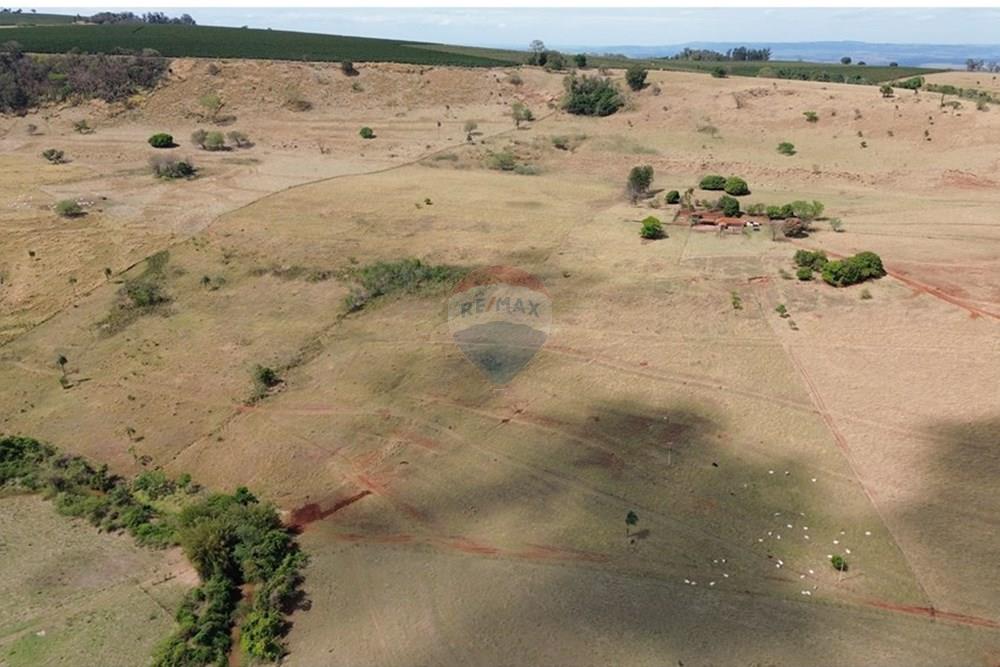 Fazenda - Venda - Cajuru , São Paulo - DJI_0277.JPG - 780171030-74