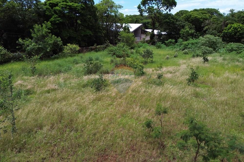 Terreno - Venda - Ribeirão Preto , São Paulo - DJI_0913.JPG - 780171030-72