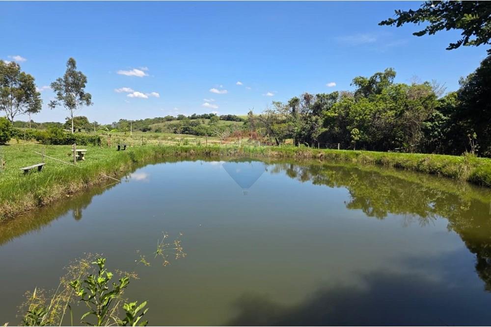 Chácara / Sítio / Fazenda - Venda - Santo Antônio da Alegria , São Paulo - IMG-20251121-WA0160.jpg - 780171030-68