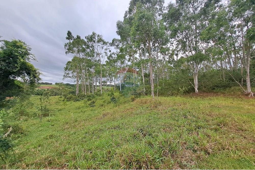 Chácara / Sítio / Fazenda - Venda - Cajuru , São Paulo - IMG-20250406-WA0104.jpg - 780171030-59