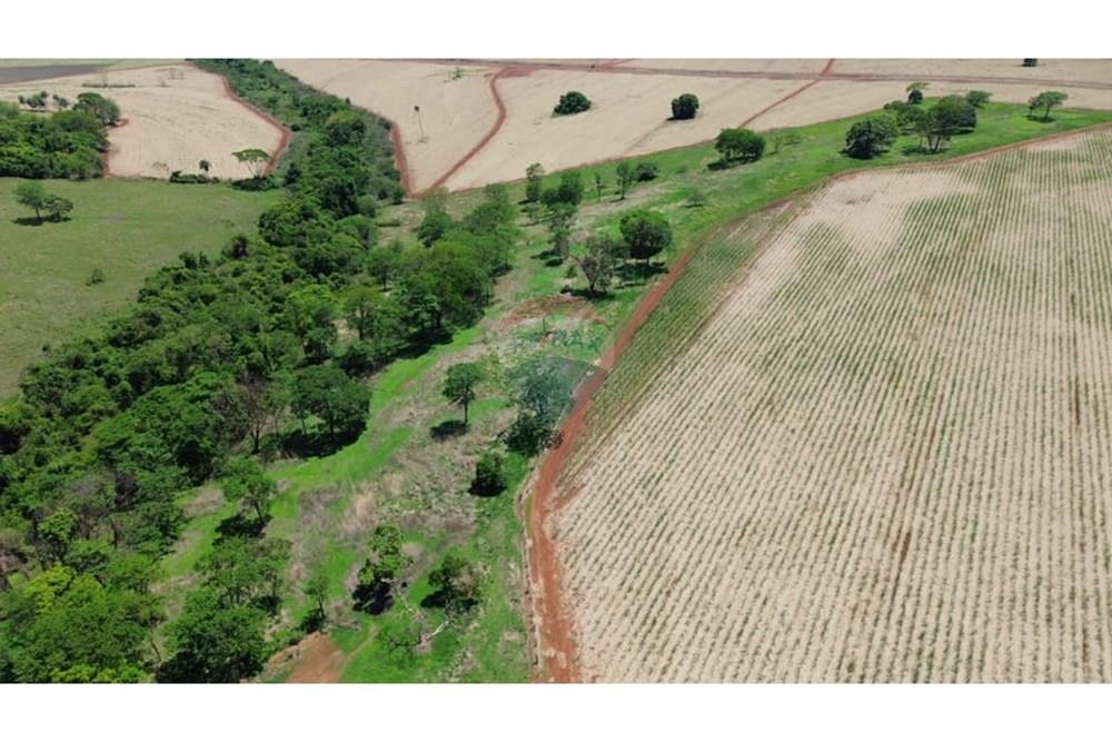 Chácara / Sítio / Fazenda - Venda - Buritizal , São Paulo - WhatsApp Image 2025-11-08 at 17.10.11 (1).jpeg - 780131009-139