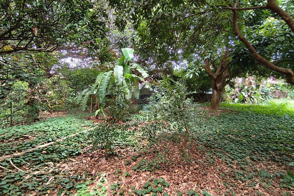 Terreno - Venda - Ribeirão Preto , São Paulo - IMG_20260113_100947.jpg - 780091040-63