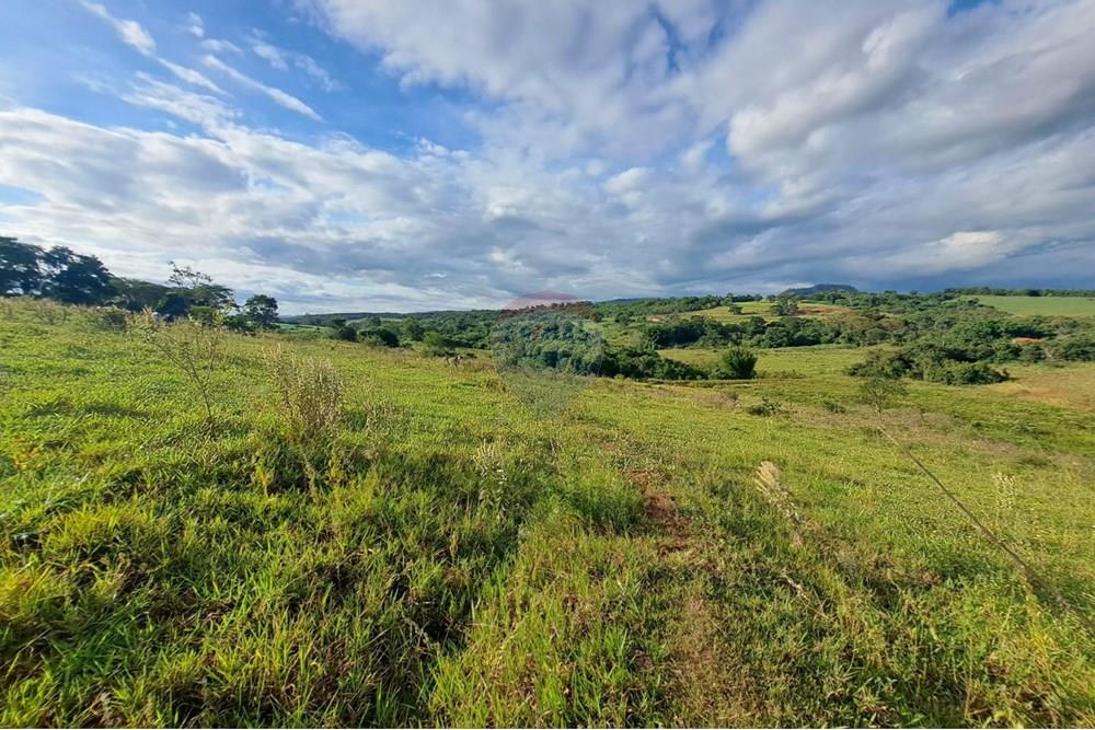 Chácara / Sítio / Fazenda - Venda - Cajuru , São Paulo - IMG-20250406-WA0178.jpg - 780171030-59