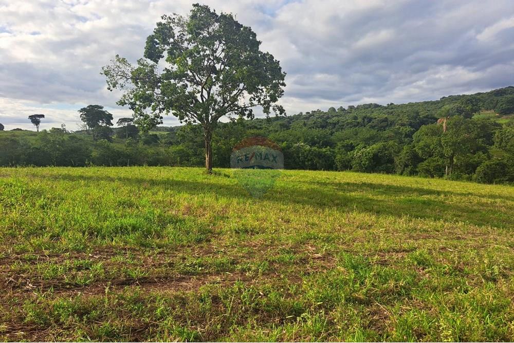 Fazenda - Venda - Cajuru , São Paulo - IMG-20250406-WA0162.jpg - 780171030-57