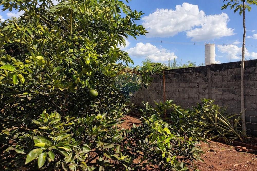 Chácara / Sítio / Fazenda - Venda - Sertãozinho , São Paulo - WhatsApp Image 2026-03-17 at 01.09.14.jpeg - 780191016-54