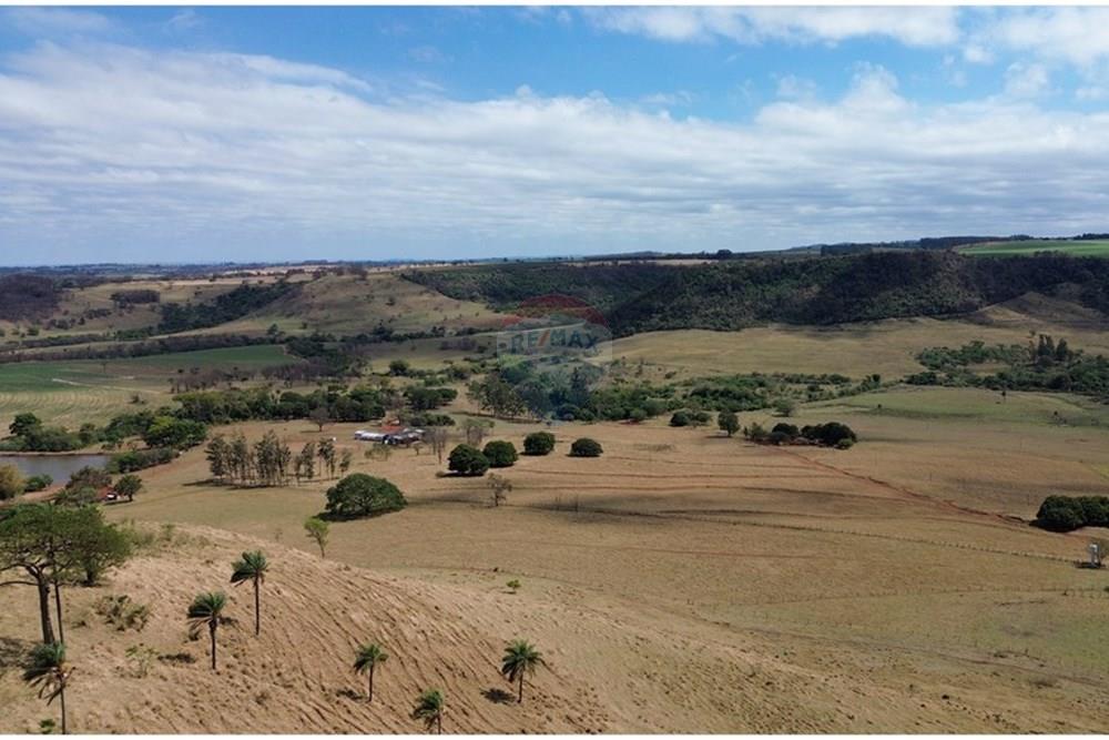 Fazenda - Venda - Cajuru , São Paulo - DJI_0305.JPG - 780171030-74