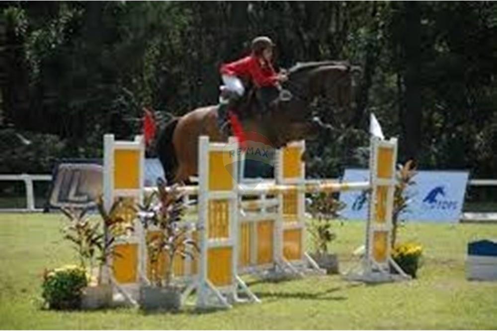 Casa de Condomínio - Venda - Ribeirão Preto , São Paulo - Cavaleiro amarelo.jpeg - 780171066-37
