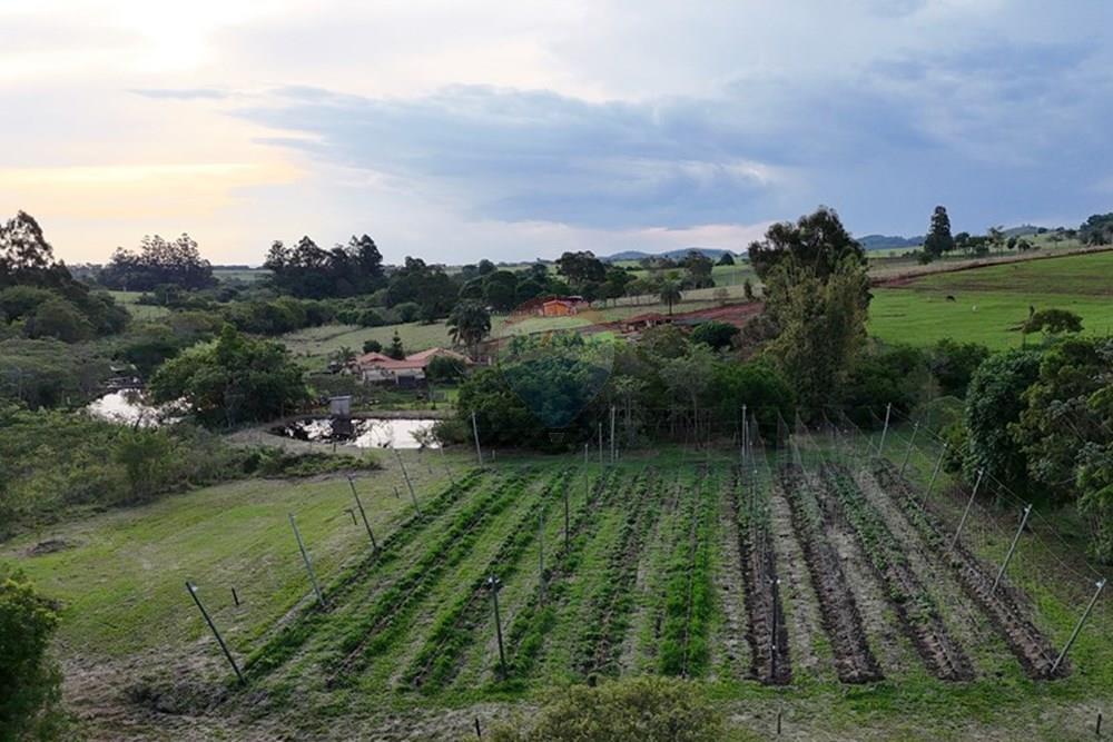 Fazenda - Venda - Cajuru , São Paulo - dji_fly_20241031_172416_0229_1730844751738_photo.jpg - 780271061-50