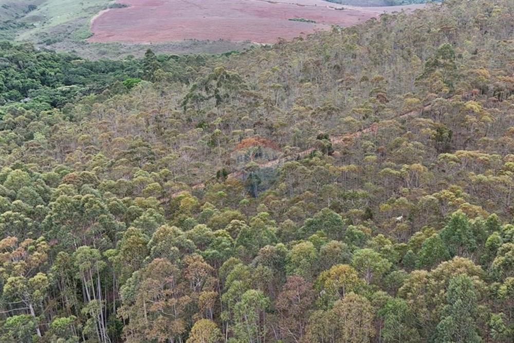 Chácara / Sítio / Fazenda - Venda - Aiuruoca , Minas Gerais - DJI_20241113153638_0310_D.JPG - 780251035-5