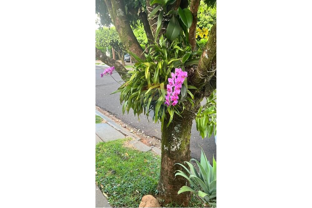 Casa de Condomínio - Venda - Ribeirão Preto , São Paulo - WhatsApp Image 2025-03-14 at 22.13.31.jpeg - 780271023-27