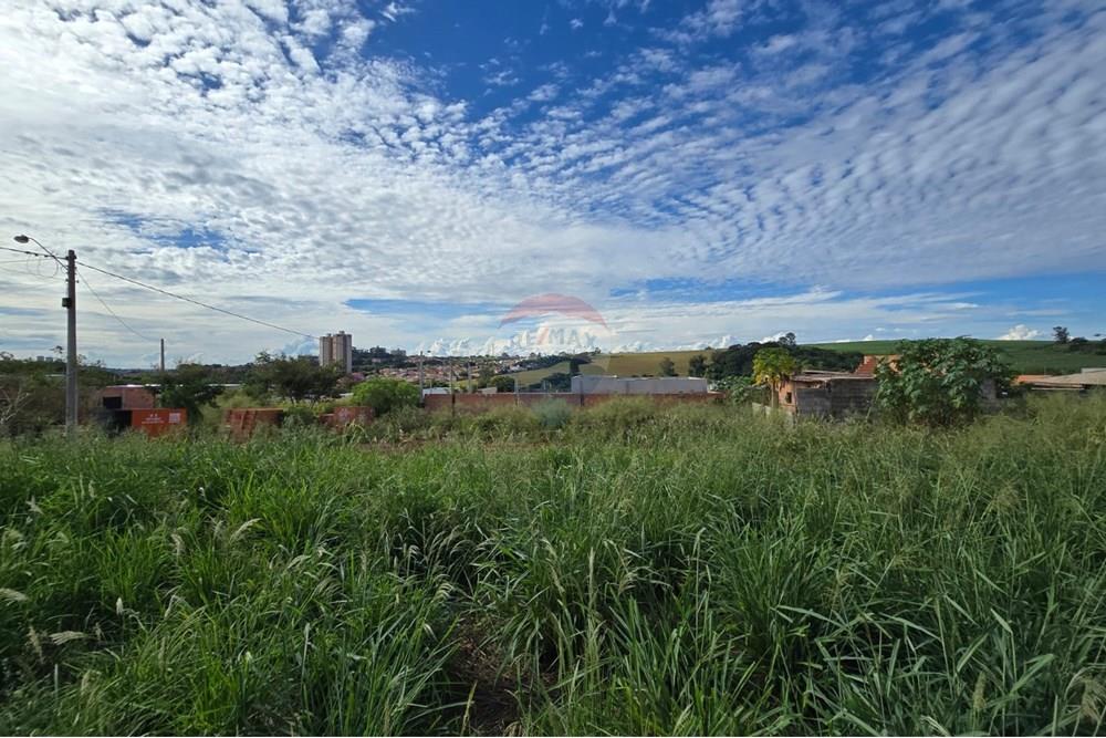 Terreno - Venda - Ribeirão Preto , São Paulo - WhatsApp Image 2025-04-17 at 15.43.12 (1).jpeg - 780101051-1