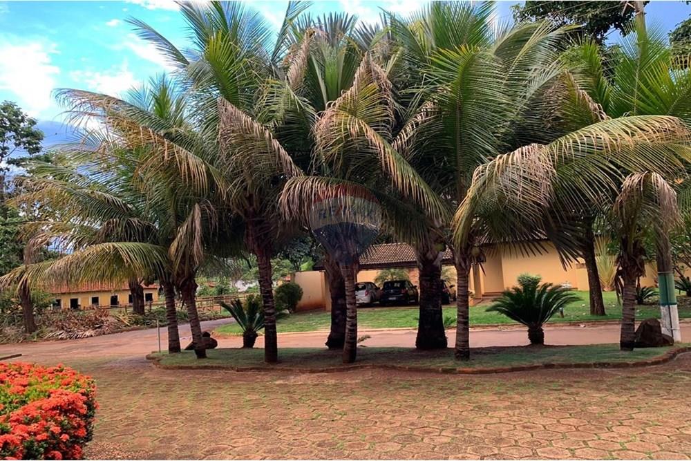 Casa de Condomínio - Venda - Ribeirão Preto , São Paulo - arvores grandes de jardim.jpeg - 780171066-24