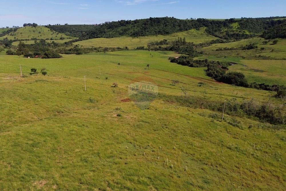 Fazenda - Venda - Cajuru , São Paulo - DJI_0016.JPG - 780171030-74