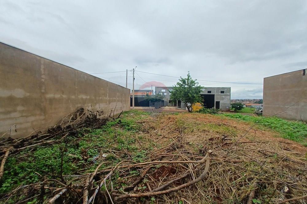 Terreno - Venda - Cravinhos , São Paulo - 20260225_114839.jpg - 780121006-94