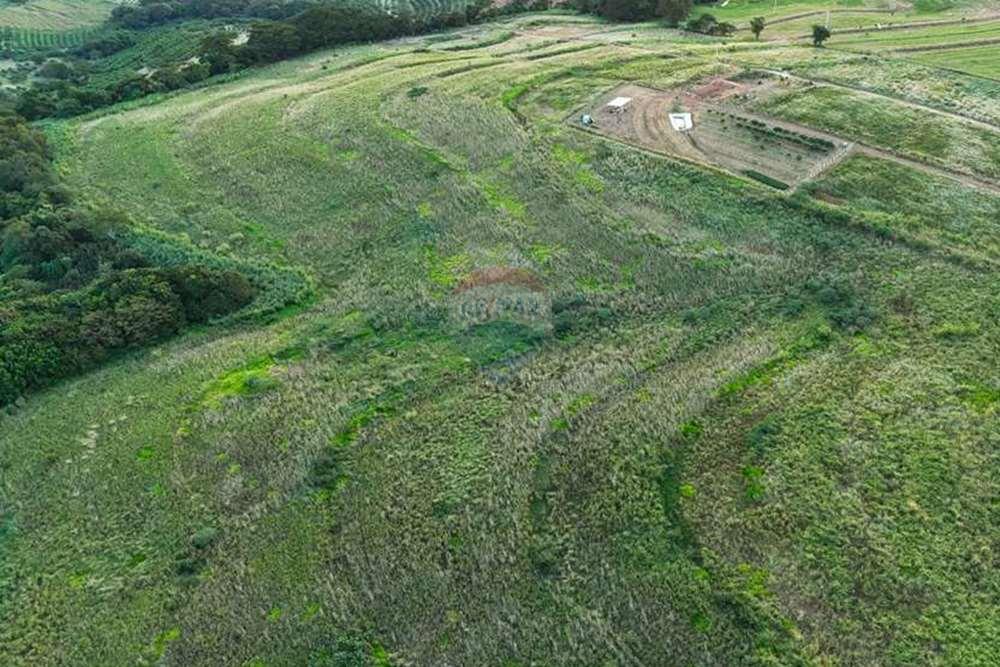 Chácara / Sítio / Fazenda - Venda - Monte Alto , São Paulo - foto 6 .jpg - 780271059-44