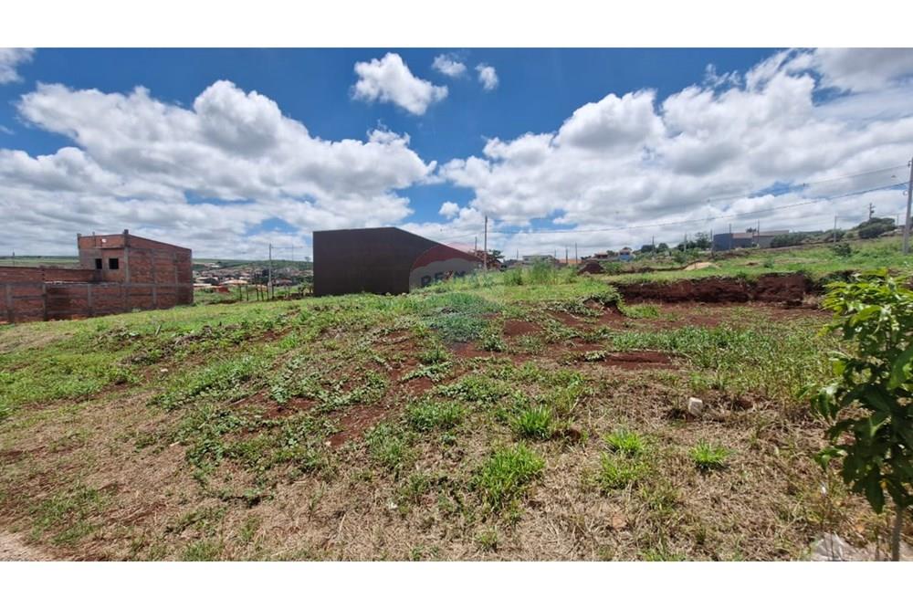 Terreno - Venda - Dumont , São Paulo - WhatsApp Image 2026-02-27 at 12.52.29 (6).jpeg - 780181011-292