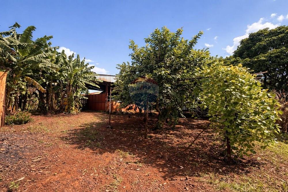 Chácara / Sítio / Fazenda - Venda - Sertãozinho , São Paulo - WhatsApp Image 2026-03-17 at 01.09.06.jpeg - 780191016-54