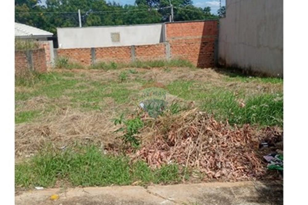 Terreno - Venda - Monte Alto , São Paulo - WhatsApp Image 2026-02-23 at 09.16.14.jpeg - 780271058-14