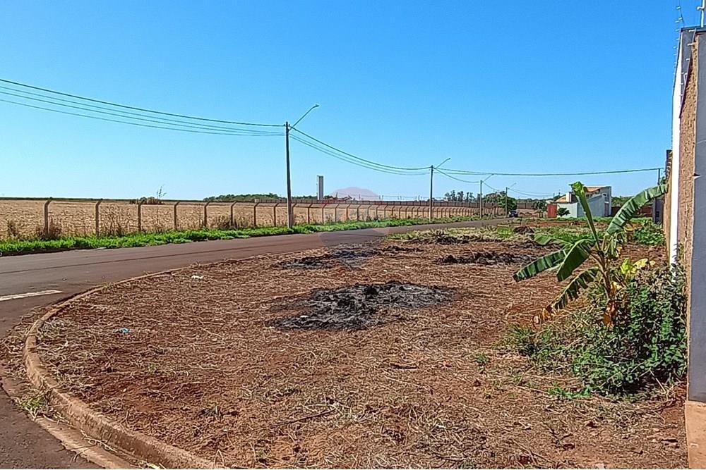 Terreno - Venda - São Joaquim da Barra , São Paulo - IMG-20251023-WA0051.jpg - 780301004-7