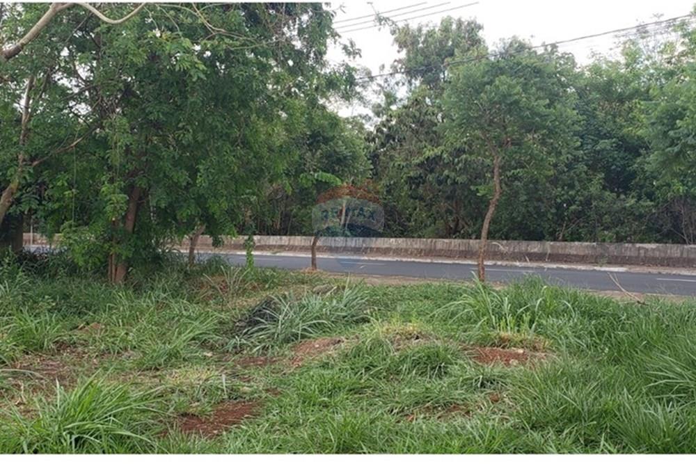 Terreno - Venda - Ribeirão Preto , São Paulo - WhatsApp Image 2026-01-26 at 12.07.24.jpeg - 780241021-34