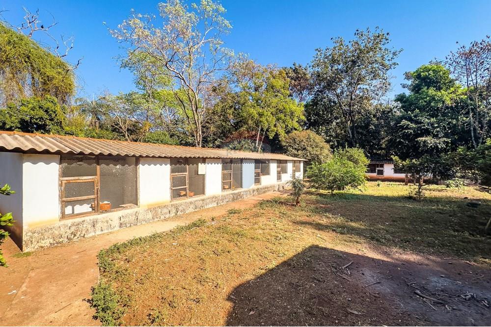 Chácara / Sítio / Fazenda - Venda - Ribeirão Preto , São Paulo - Itanhanga-35.jpg - Jardim Externo - 780071024-78