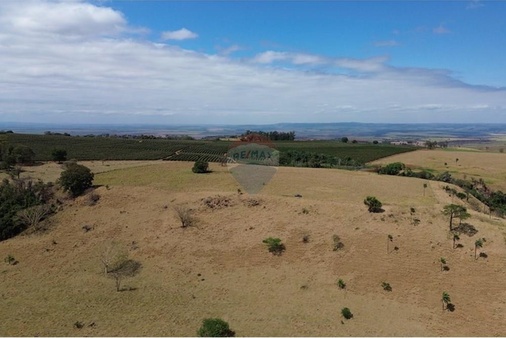 Chácara / Sítio / Fazenda - Venda - Cajuru , São Paulo - DJI_0295.JPG - 780171030-77