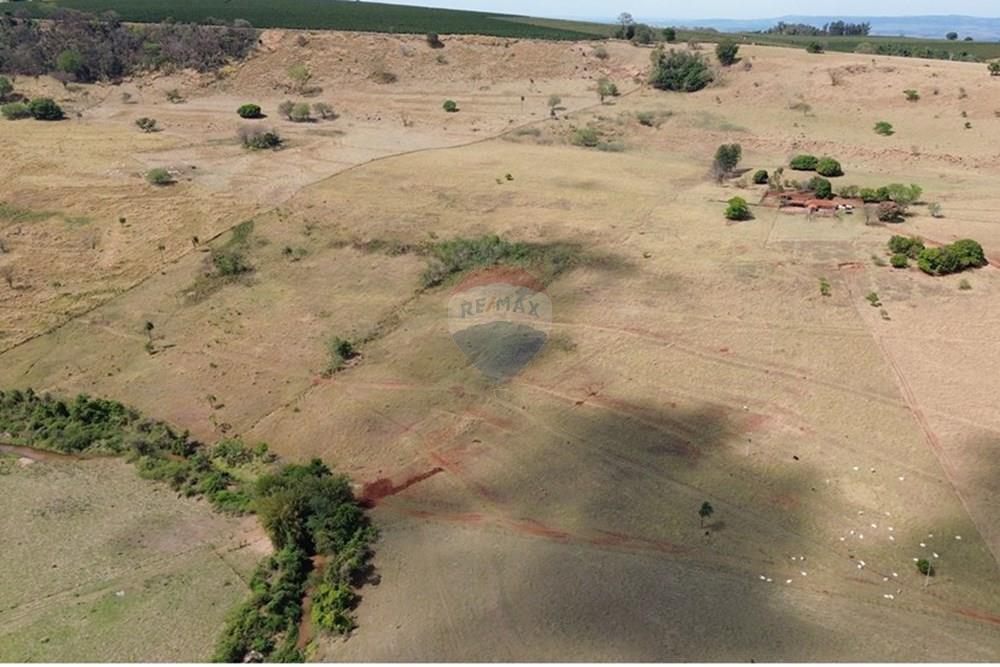 Fazenda - Venda - Cajuru , São Paulo - DJI_0276.JPG - 780171030-74