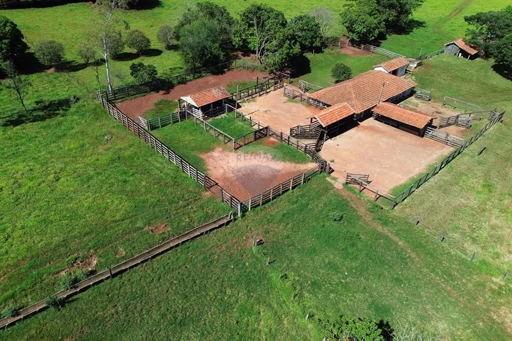 Fazenda - Venda - Cajuru , São Paulo - DJI_0006.JPG - 780171030-74