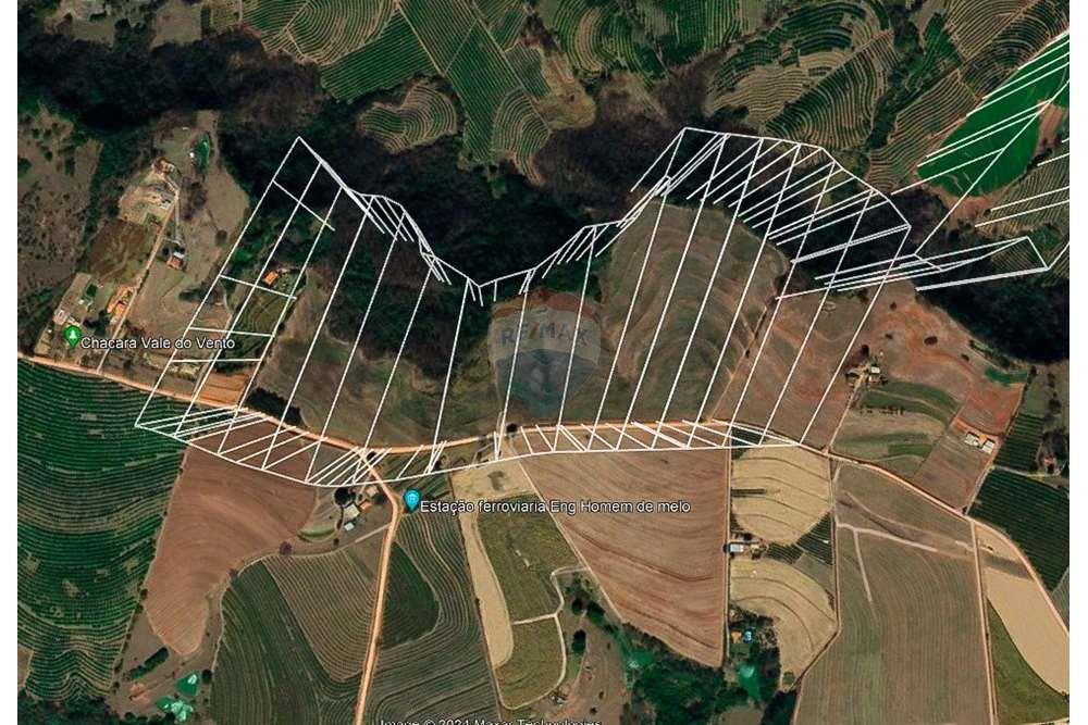 Chácara / Sítio / Fazenda - Venda - Monte Alto , São Paulo - foto 10 .jpg - 780271059-44