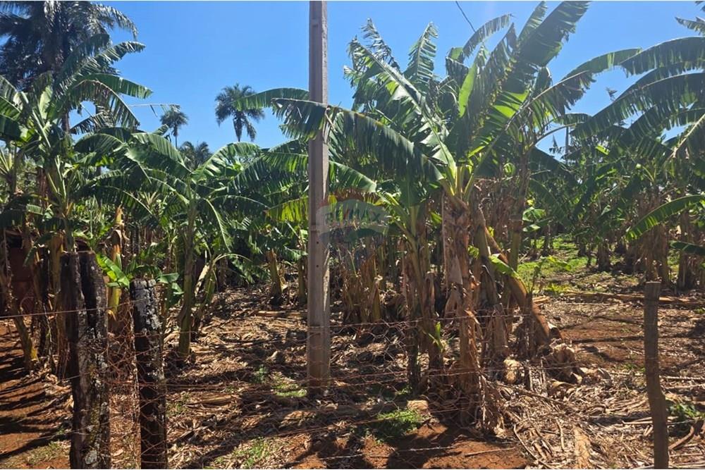 Chácara / Sítio / Fazenda - Venda - Buritizal , São Paulo - WhatsApp Image 2025-11-08 at 17.07.52.jpeg - 780131009-139