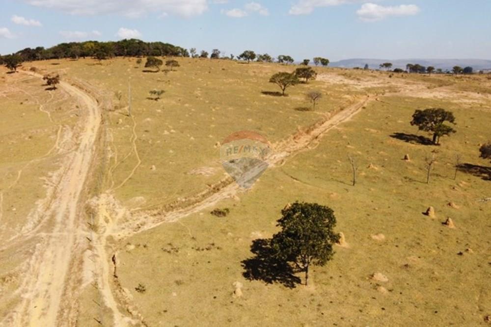 Agro - Venda - Guapé , Minas Gerais - Fazenda Guape 12.jpg - 780071051-6