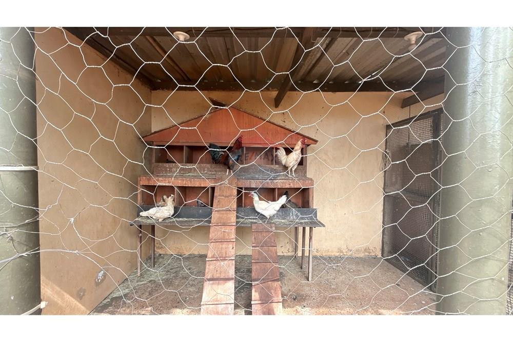 Casa de Condomínio - Venda - Ribeirão Preto , São Paulo - IMG_1285.JPG - 780121020-78