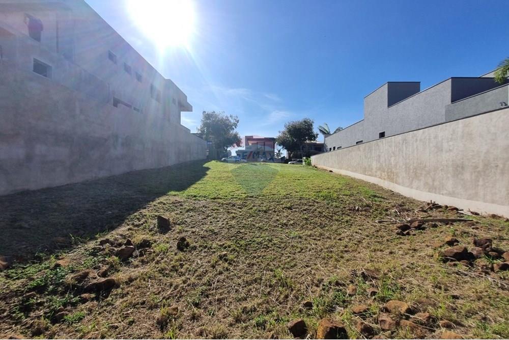 Terreno - Venda - Ribeirão Preto , São Paulo - WhatsApp Image 2025-05-23 at 17.09.14 (2).jpeg - 780281008-3