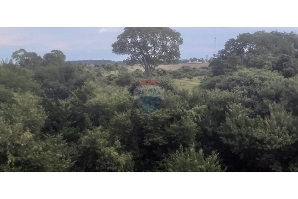 Terreno - Venda - Cristais Paulista , São Paulo - Imagem do WhatsApp de 2025-03-26 à(s) 16.23.26_b2f03241.jpg - 780231035-21