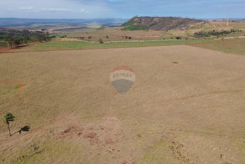 Chácara / Sítio / Fazenda - Venda - Cajuru , São Paulo - DJI_0271.JPG - 780171030-77